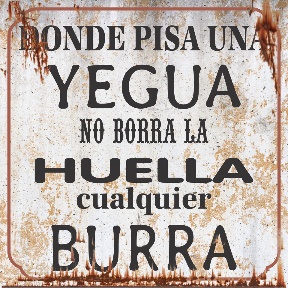 Foto Producto